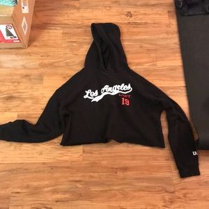 Los Angeles Fitexpo LVFT cropped hoody